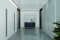 其他 Modern Style 5